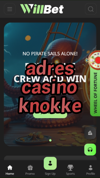adres casino knokke-asdasdzhjkds.com